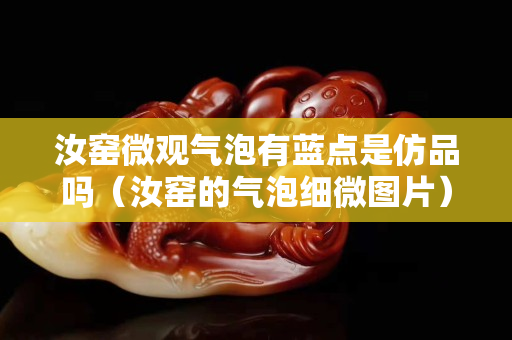 汝窑微观气泡有蓝点是仿品吗（汝窑的气泡细微图片）
