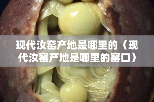 现代汝窑产地是哪里的（现代汝窑产地是哪里的窑口）