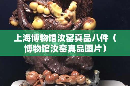 上海博物馆汝窑真品八件（博物馆汝窑真品图片）