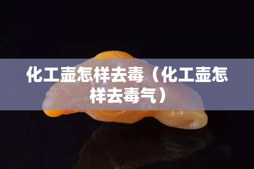 化工壶怎样去毒（化工壶怎样去毒气）