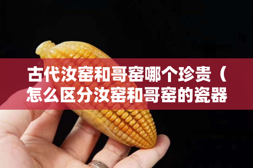 古代汝窑和哥窑哪个珍贵（怎么区分汝窑和哥窑的瓷器）