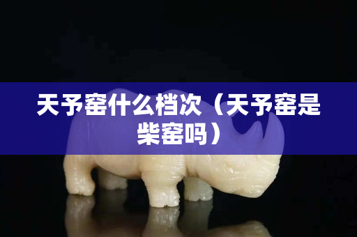 天予窑什么档次（天予窑是柴窑吗）