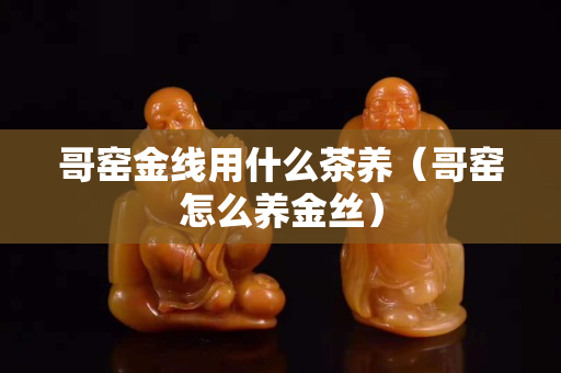 哥窑金线用什么茶养（哥窑怎么养金丝）