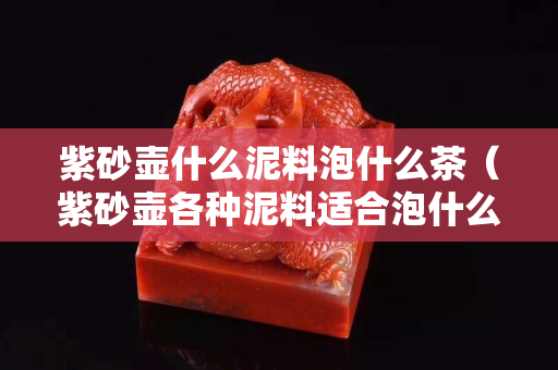 紫砂壶什么泥料泡什么茶（紫砂壶各种泥料适合泡什么茶）