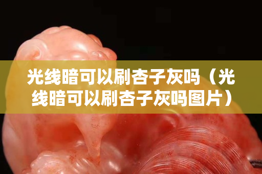 光线暗可以刷杏子灰吗（光线暗可以刷杏子灰吗图片）