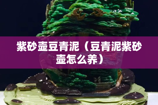 紫砂壶豆青泥（豆青泥紫砂壶怎么养）