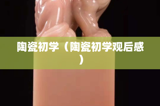 陶瓷初学（陶瓷初学观后感）
