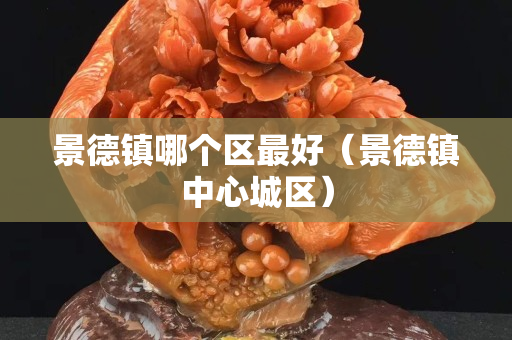 景德镇哪个区最好（景德镇中心城区）
