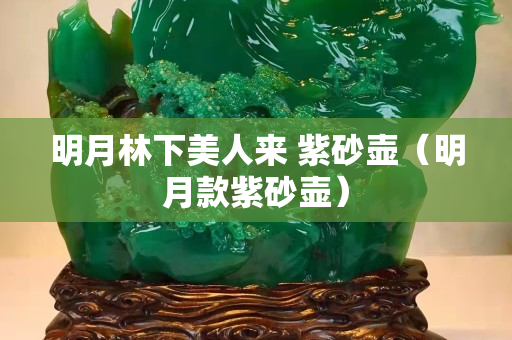 明月林下美人来 紫砂壶（明月款紫砂壶）