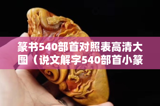 篆书540部首对照表高清大图（说文解字540部首小篆及释义）
