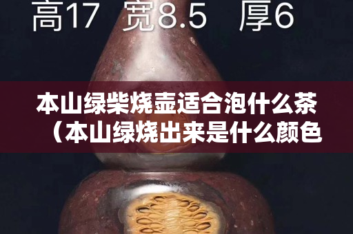 本山绿柴烧壶适合泡什么茶（本山绿烧出来是什么颜色）