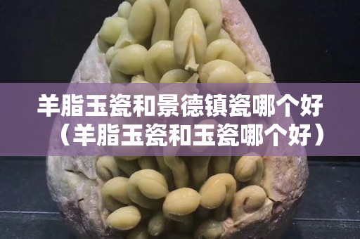 羊脂玉瓷和景德镇瓷哪个好（羊脂玉瓷和玉瓷哪个好）
