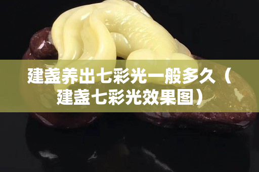 建盏养出七彩光一般多久（建盏七彩光效果图）