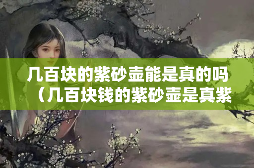 几百块的紫砂壶能是真的吗（几百块钱的紫砂壶是真紫砂吗？）