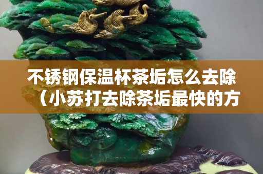 不锈钢保温杯茶垢怎么去除（小苏打去除茶垢最快的方法）