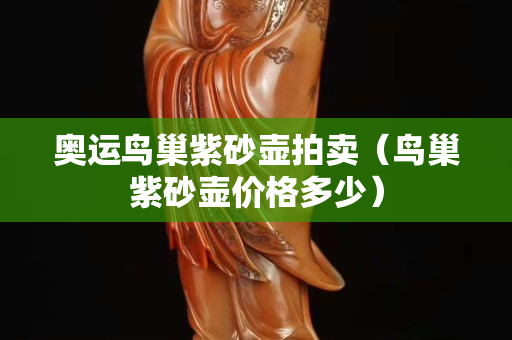 奥运鸟巢紫砂壶拍卖（鸟巢紫砂壶价格多少）