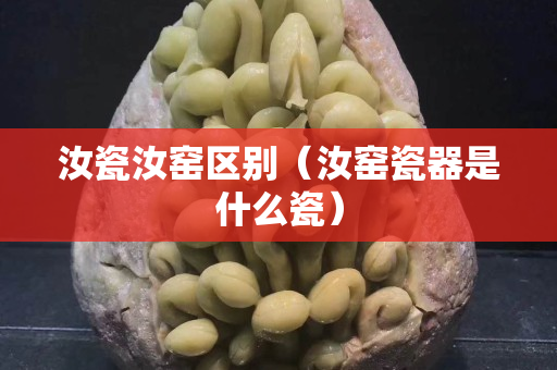 汝瓷汝窑区别（汝窑瓷器是什么瓷）