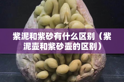 紫泥和紫砂有什么区别（紫泥壶和紫砂壶的区别）