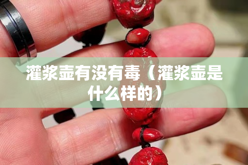 灌浆壶有没有毒（灌浆壶是什么样的）
