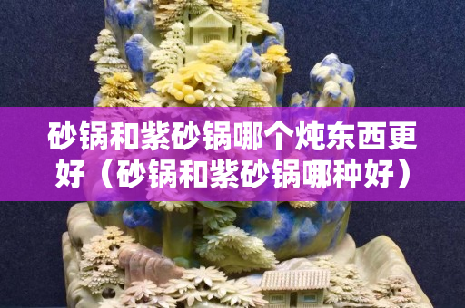 砂锅和紫砂锅哪个炖东西更好（砂锅和紫砂锅哪种好）