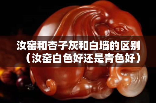 汝窑和杏子灰和白墙的区别（汝窑白色好还是青色好）