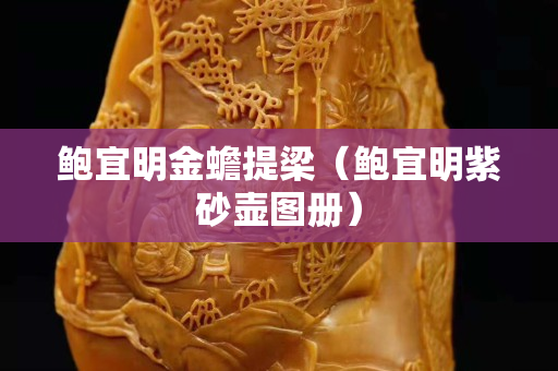 鲍宜明金蟾提梁（鲍宜明紫砂壶图册）