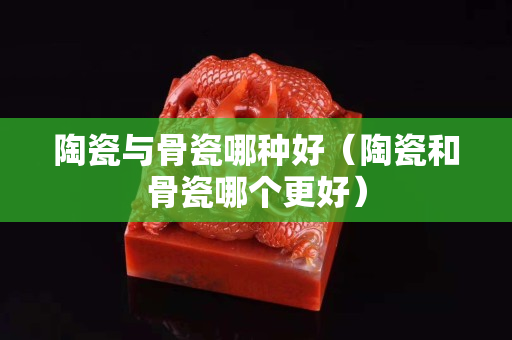 陶瓷与骨瓷哪种好（陶瓷和骨瓷哪个更好）