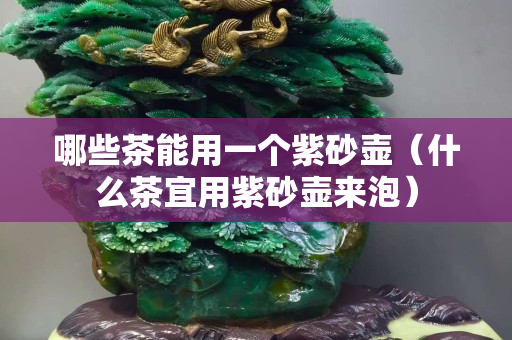 哪些茶能用一个紫砂壶（什么茶宜用紫砂壶来泡）