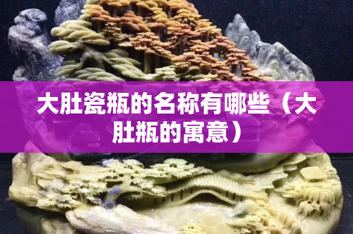 大肚瓷瓶的名称有哪些（大肚瓶的寓意）
