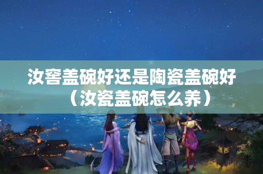 汝窖盖碗好还是陶瓷盖碗好（汝瓷盖碗怎么养）