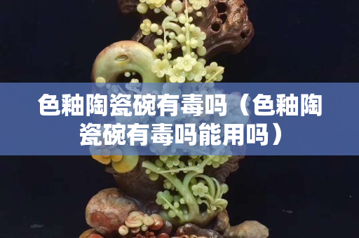 色釉陶瓷碗有毒吗（色釉陶瓷碗有毒吗能用吗）