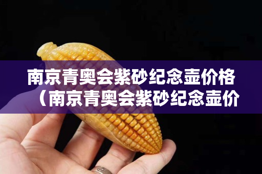 南京青奥会紫砂纪念壶价格（南京青奥会紫砂纪念壶价格是多少）