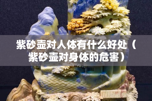 紫砂壶对人体有什么好处（紫砂壶对身体的危害）