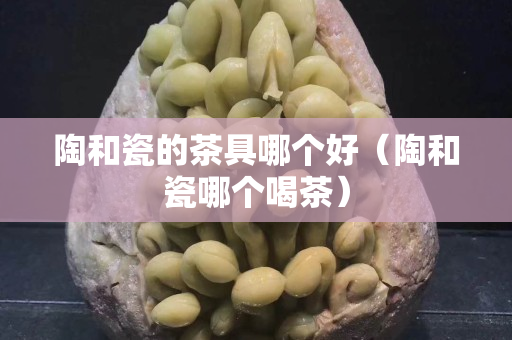 陶和瓷的茶具哪个好（陶和瓷哪个喝茶）