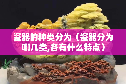 瓷器的种类分为（瓷器分为哪几类,各有什么特点）