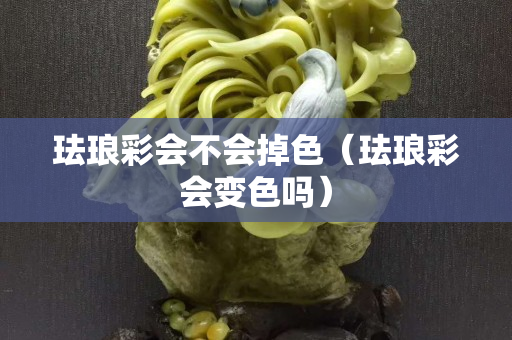 珐琅彩会不会掉色（珐琅彩会变色吗）