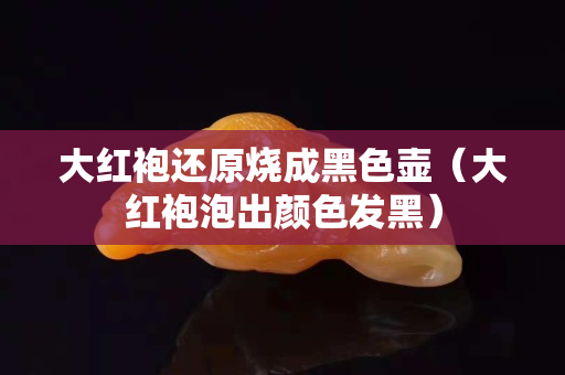大红袍还原烧成黑色壶（大红袍泡出颜色发黑）