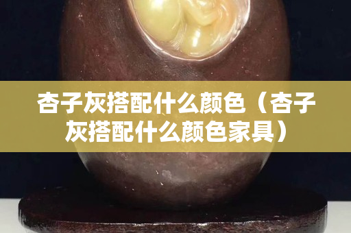 杏子灰搭配什么颜色（杏子灰搭配什么颜色家具）