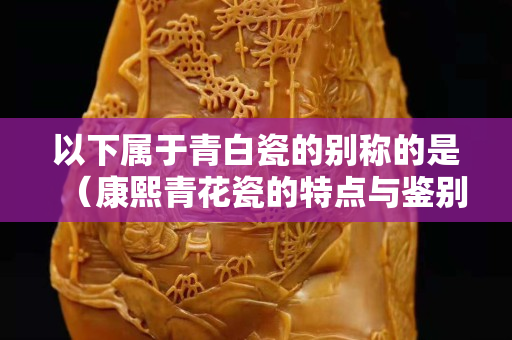 以下属于青白瓷的别称的是（康熙青花瓷的特点与鉴别）