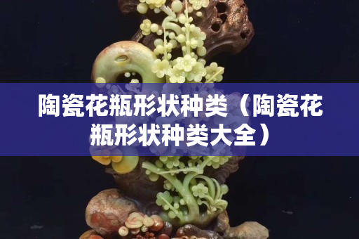 陶瓷花瓶形状种类（陶瓷花瓶形状种类大全）