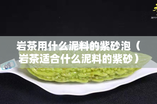 岩茶用什么泥料的紫砂泡（岩茶适合什么泥料的紫砂）