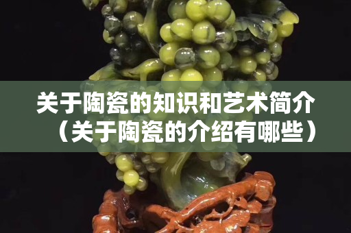 关于陶瓷的知识和艺术简介（关于陶瓷的介绍有哪些）