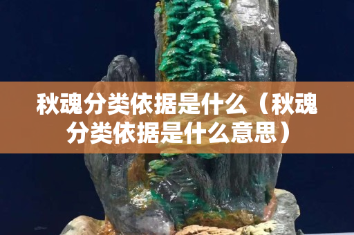 秋魂分类依据是什么（秋魂分类依据是什么意思）