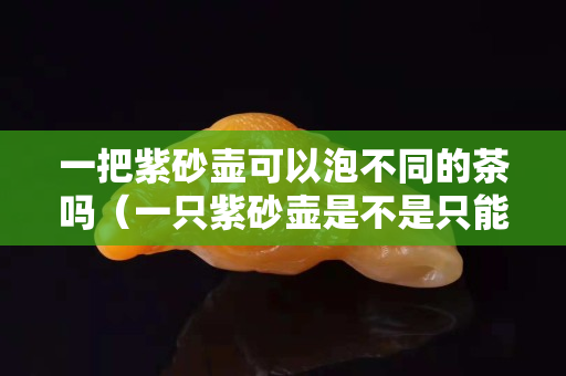 一把紫砂壶可以泡不同的茶吗（一只紫砂壶是不是只能泡一种茶）