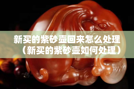 新买的紫砂壶回来怎么处理（新买的紫砂壶如何处理）