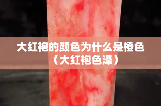 大红袍的颜色为什么是橙色（大红袍色泽）