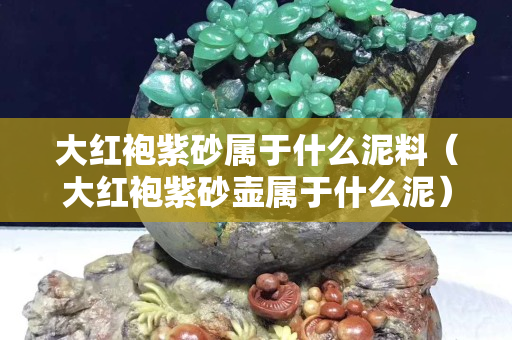 大红袍紫砂属于什么泥料（大红袍紫砂壶属于什么泥）