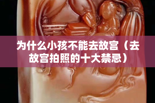 为什么小孩不能去故宫（去故宫拍照的十大禁忌）