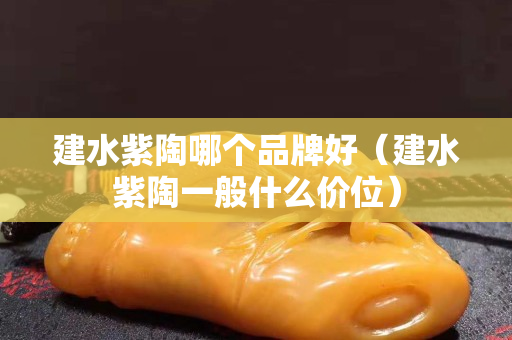 建水紫陶哪个品牌好（建水紫陶一般什么价位）