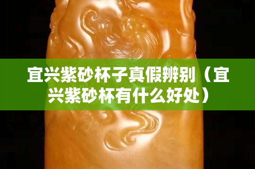 宜兴紫砂杯子真假辨别（宜兴紫砂杯有什么好处）